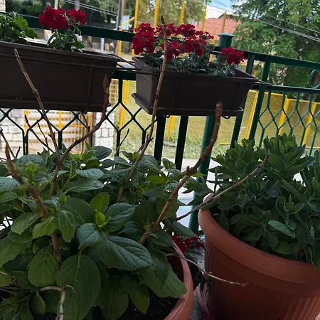 דירה Kasumovic Old Town, Location, New *